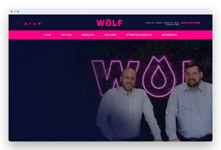 Wolf Laundry website before
